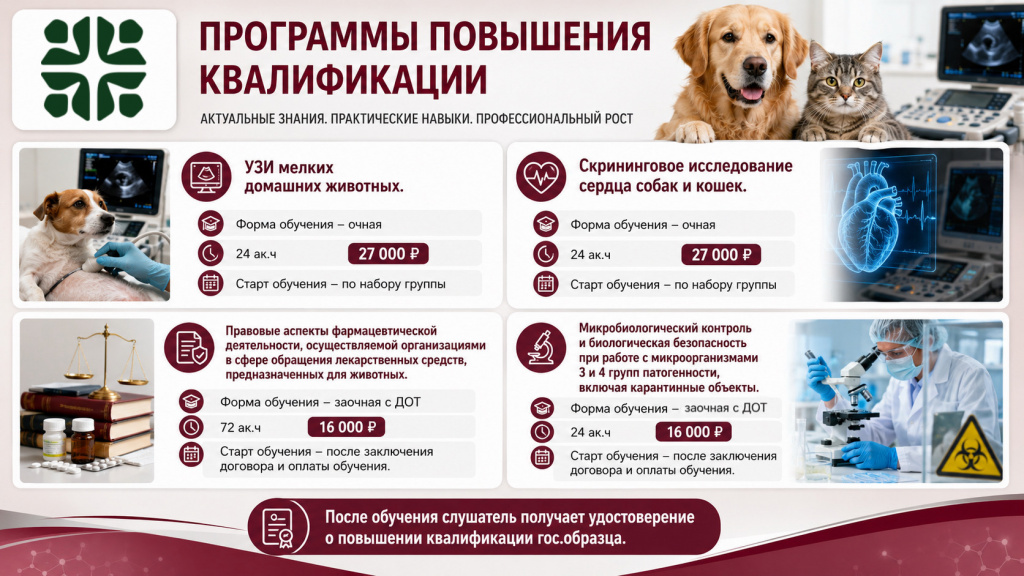 баннер ветеринары