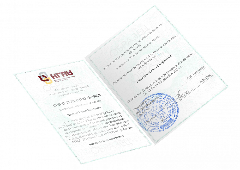 Образец<br />  <span>выдаваемого документа</span>