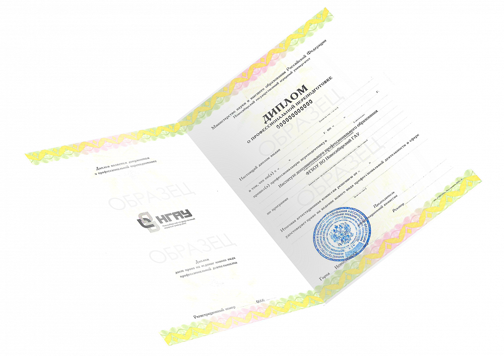 Образец<br />  <span>выдаваемого документа</span>